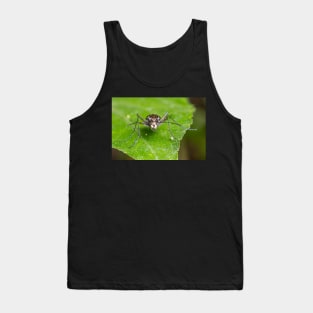 Unique and organic photo of a tiger beetle Tank Top